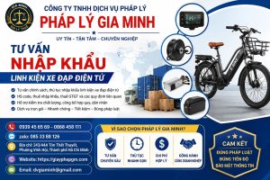 Tư Vấn Nhập Khẩu Linh Kiện Xe Đạp Điện Tử